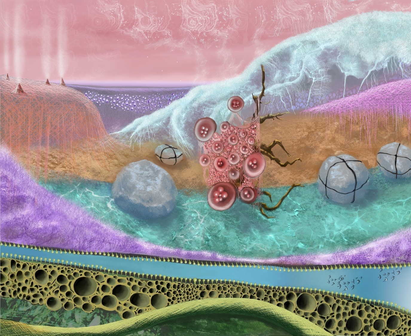 "Global Fungi Navigation", 2025